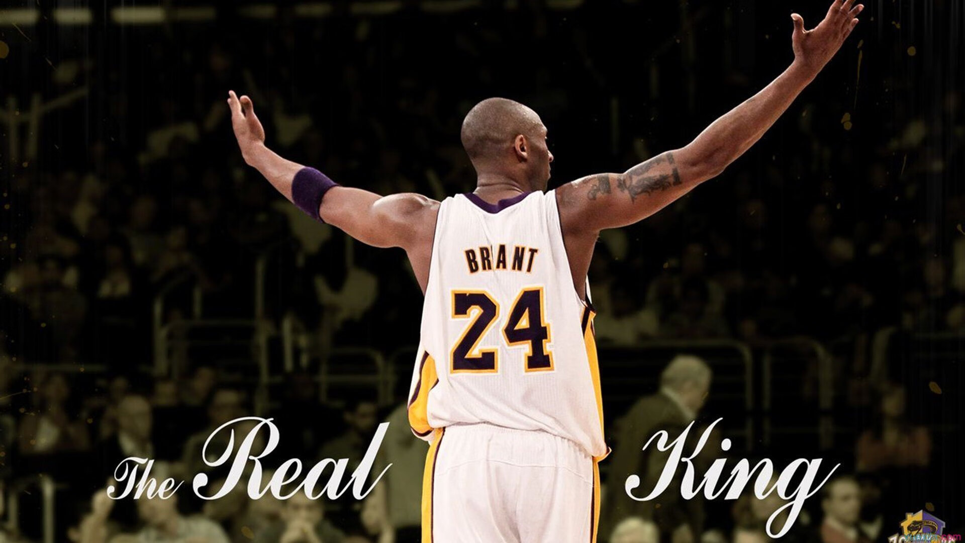 伊朗骑手卡尔·阿里·阿尔达比在巴黎奥运会后成为马术协会主席,推动马术运动发展。